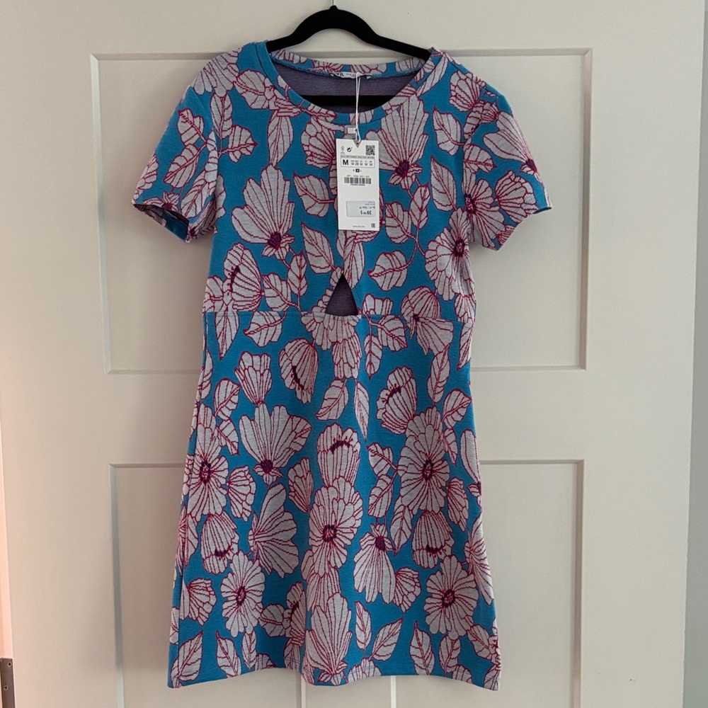 Zara Blue and Pink Floral Mini Dress